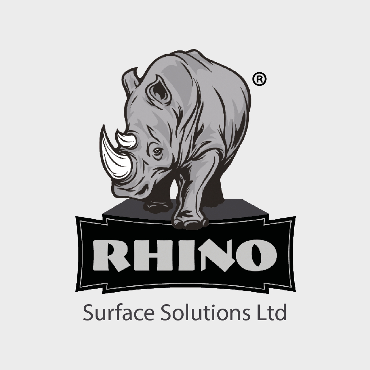 Rhino Surfaces Logo